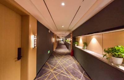 小城酒店热度飙升：游客蜂拥而至的秘密究竟是什么？