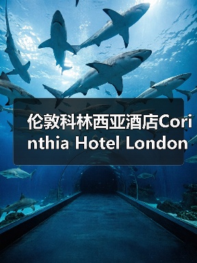 伦敦科林西亚酒店Corinthia Hotel London,携手Perrin & Rowe打造奢华卫浴体验(图2) 伦敦科林西亚酒店Corinthia Hotel London,携手Perrin & Rowe打造奢华卫浴体验(图2)