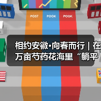 相约安徽·向春而行 | 在万亩芍药花海里“躺平”，不负春光不负卿（图1）