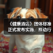 《健康酒店》团体标准正式发布实施，推动行业健康管理有序发展（图1）