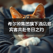 希尔顿集团旗下酒店邀宾客共赴冬日之约(图4) 希尔顿集团旗下酒店邀宾客共赴冬日之约(图4)