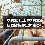 卓美亚于迪拜卓美亚古堡酒店揭幕全新生态村 打造沉浸式可持续发展体验目的地(图3) 卓美亚于迪拜卓美亚古堡酒店揭幕全新生态村 打造沉浸式可持续发展体验目的地(图3)