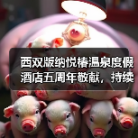 西双版纳悦椿温泉度假酒店五周年敬献,持续缔造传承向善养修之旅(图3) 西双版纳悦椿温泉度假酒店五周年敬献,持续缔造传承向善养修之旅(图3)