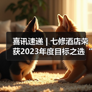 喜讯速递 | 七修酒店荣获2023年度目标之选“TARGET年度度假酒店”奖（图1）