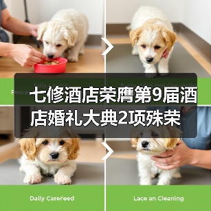 七修酒店荣膺第9届酒店婚礼大典2项殊荣(图4) 七修酒店荣膺第9届酒店婚礼大典2项殊荣(图4)