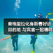 香格里拉化身新春好运目的地 与宾客一起福转迎春·骏启新程(图2) 香格里拉化身新春好运目的地 与宾客一起福转迎春·骏启新程(图2)