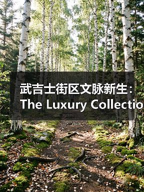 武吉士街区文脉新生:The Luxury Collection为全球探索者重新演绎历史文化地标(图4) 武吉士街区文脉新生:The Luxury Collection为全球探索者重新演绎历史文化地标(图4)