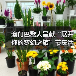 澳门巴黎人呈献“展开你的梦幻之旅”节庆活动 定格梦幻冬日 共赴节日之约（图3）