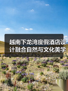 越南下龙湾度假酒店设计融合自然与文化美学(图4) 越南下龙湾度假酒店设计融合自然与文化美学(图4)