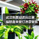 武汉东西湖酒店启幕，福朋喜来登打造摩登旅居新体验（图3）