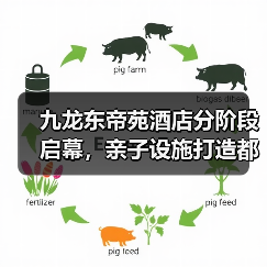 九龙东帝苑酒店分阶段启幕，亲子设施打造都市度假新地标（图2）