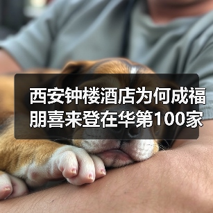 西安钟楼酒店为何成福朋喜来登在华第100家?(图2) 西安钟楼酒店为何成福朋喜来登在华第100家?(图2)