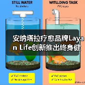 安纳塔拉疗愈品牌Layan Life创新推出终身健康计划 荣膺国际大奖（图4）