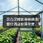 贝克汉姆套房斩获澳门最佳酒店套房荣誉，奢华体验引热议（图3）