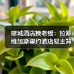 赌城酒店换老板：拉斯维加斯里约酒店易主背后的门道（图3）