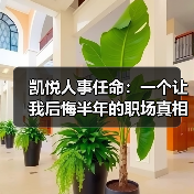 凯悦人事任命：一个让我后悔半年的职场真相（图2）