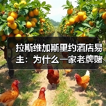拉斯维加斯里约酒店易主：为什么一家老牌赌场卖身却没人在意？（图2）