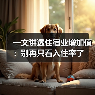 一文讲透住宿业增加值：别再只看入住率了（图4）