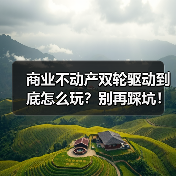 商业不动产双轮驱动到底怎么玩？别再踩坑！（图3）