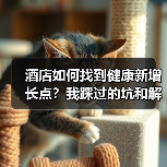 酒店如何找到健康新增长点?我踩过的坑和解决方案(图3) 酒店如何找到健康新增长点?我踩过的坑和解决方案(图3)