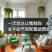 一次踩坑让我明白：商业不动产双轮驱动到底怎么玩？（图4）