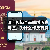 酒店规模全面超越历史峰值,为什么你反而赚不到钱?(图4) 酒店规模全面超越历史峰值,为什么你反而赚不到钱?(图4)