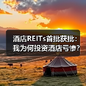 酒店REITs首批获批：我为何投资酒店亏惨？（图2）