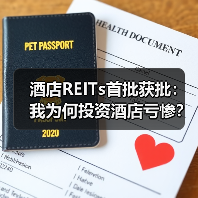 酒店REITs首批获批：我为何投资酒店亏惨？（图4）