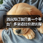 酒店预订别只看一个平台！多渠道比价避坑指南（图2）