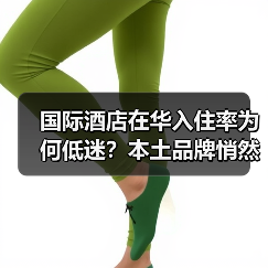 国际酒店在华入住率为何低迷?本土品牌悄然崛起(图2) 国际酒店在华入住率为何低迷?本土品牌悄然崛起(图2)