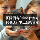 国际酒店在华入住率为何低迷?本土品牌悄然崛起(图1) 国际酒店在华入住率为何低迷?本土品牌悄然崛起(图1)
