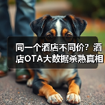 同一个酒店不同价？酒店OTA大数据杀熟真相曝光（图4）