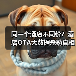 同一个酒店不同价？酒店OTA大数据杀熟真相曝光（图3）