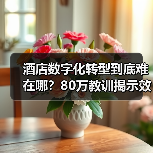 酒店数字化转型到底难在哪？80万教训揭示效率才是关键（图4）