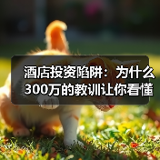 酒店投资陷阱：为什么300万的教训让你看懂品牌价值指数（图1）