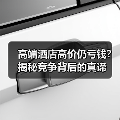 高端酒店高价仍亏钱？揭秘竞争背后的真谛（图4）