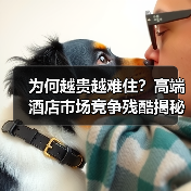 为何越贵越难住？高端酒店市场竞争残酷揭秘（图3）