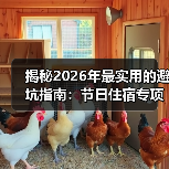 揭秘2026年最实用的避坑指南：节日住宿专项检查怎么查？（图3）