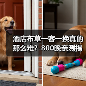 酒店布草一客一换真的那么难？800晚亲测揭秘真相（图2）