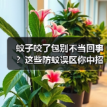 蚊子咬了包别不当回事？这些防蚊误区你中招了吗？（图3）