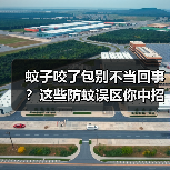 蚊子咬了包别不当回事？这些防蚊误区你中招了吗？（图4）