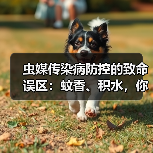 虫媒传染病防控的致命误区：蚊香、积水，你中招了吗？（图3）
