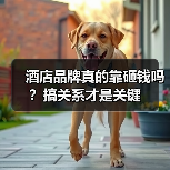 酒店品牌真的靠砸钱吗？搞关系才是关键（图1）