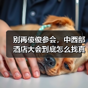 别再傻傻参会,中西部酒店大会到底怎么找真机会?(图2) 别再傻傻参会,中西部酒店大会到底怎么找真机会?(图2)