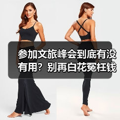 参加文旅峰会到底有没有用?别再白花冤枉钱(图1) 参加文旅峰会到底有没有用?别再白花冤枉钱(图1)