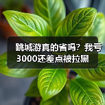 跳城游真的省吗?我亏3000还差点被拉黑(图2) 跳城游真的省吗?我亏3000还差点被拉黑(图2)