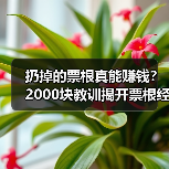 扔掉的票根真能赚钱?2000块教训揭开票根经济真相(图2) 扔掉的票根真能赚钱?2000块教训揭开票根经济真相(图2)