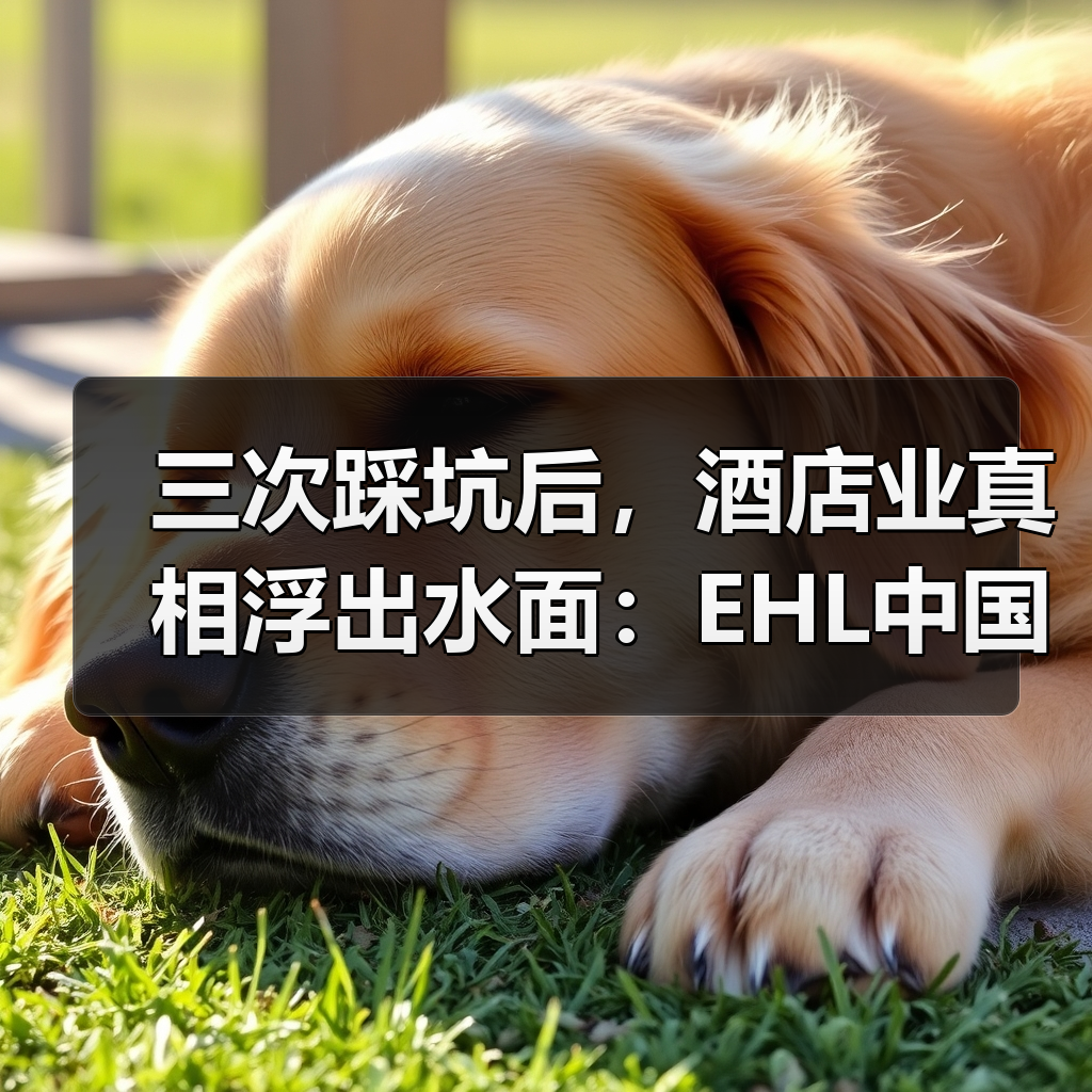 三次踩坑后，酒店业真相浮出水面：EHL中国酒店展望如何重塑认知？（图2）