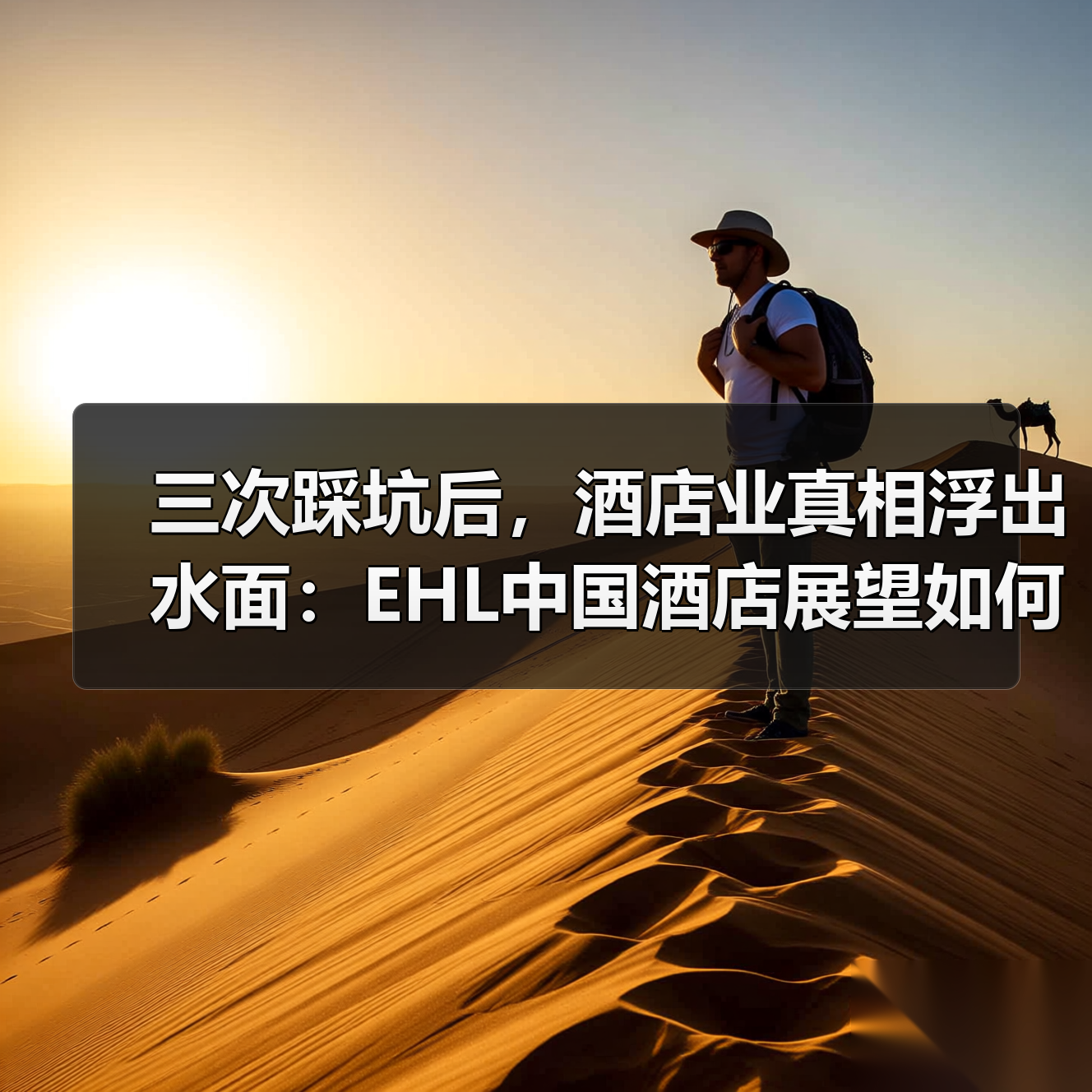 三次踩坑后，酒店业真相浮出水面：EHL中国酒店展望如何重塑认知？（图4）