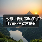 傻眼！我悔不当初的REITs商业不动产投资
